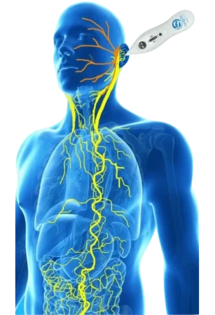 MPS ear blue man vagus nerve