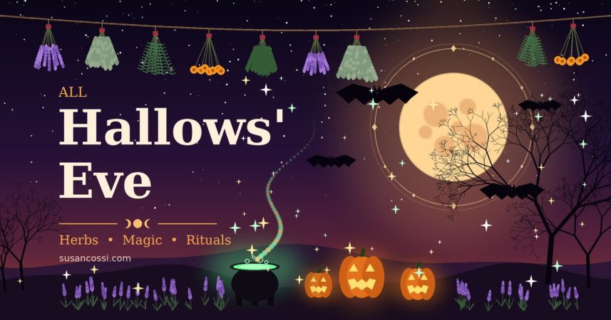 hallows-eve-blog-header-herbs-magic