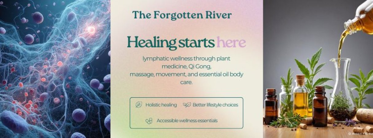 website - blog lymphatic system